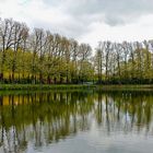 Dienstag ist Spiegeltag: Herbststimmung ...