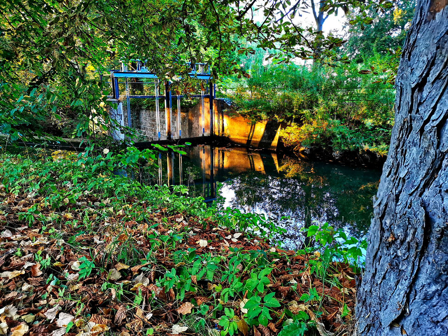 Dienstag ist Spiegeltag - Im Fluß Geislede gespiegelte herbstliche Landschafts 