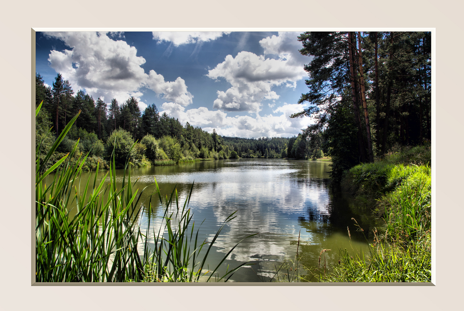 Dienstag ist Spiegeltag- Im Karpfenteich