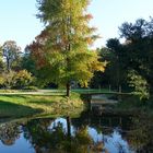 Dienstag ist Spiegeltag: Im Park von Schloss Dyck ...