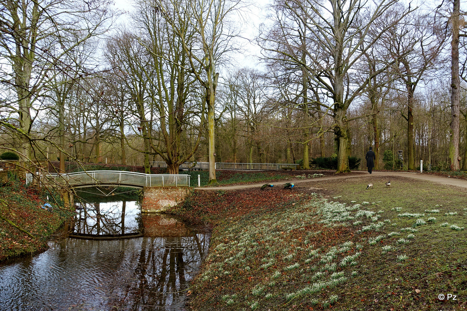 Dienstag ist Spiegeltag: Im Park von Schloss Rheydt ...