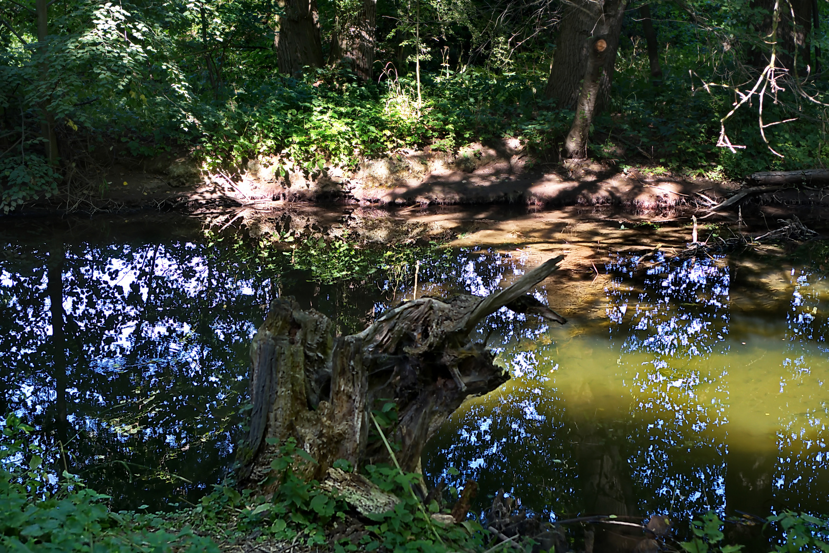 Dienstag ist Spiegeltag - In der Leine Gespiegeltes im Park vom Rittergut Besenhausen