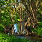 Dienstag ist Spiegeltag - In der Leine spiegelt sich die Landschaft 