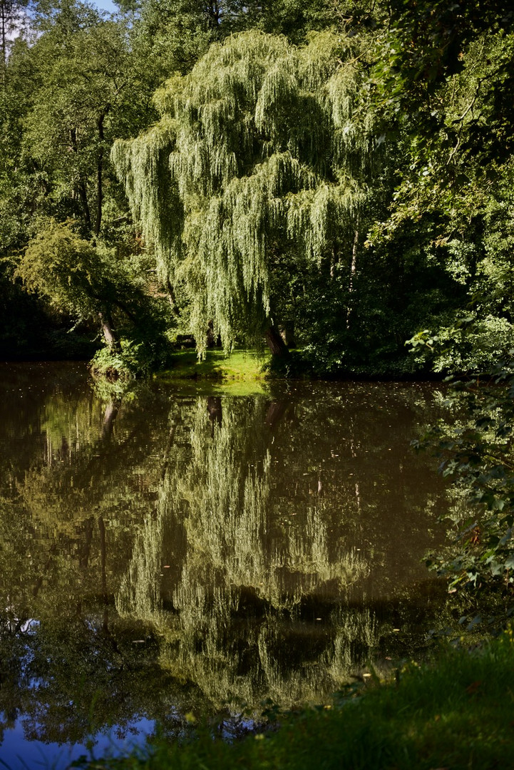 "Dienstag ist Spiegeltag"  Inselteich in Wildeck 