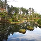 Dienstag ist Spiegeltag - -Japanischer Garten im Spiegelbild