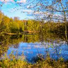 Dienstag ist Spiegeltag: Kieselgurteich im Herbst. 