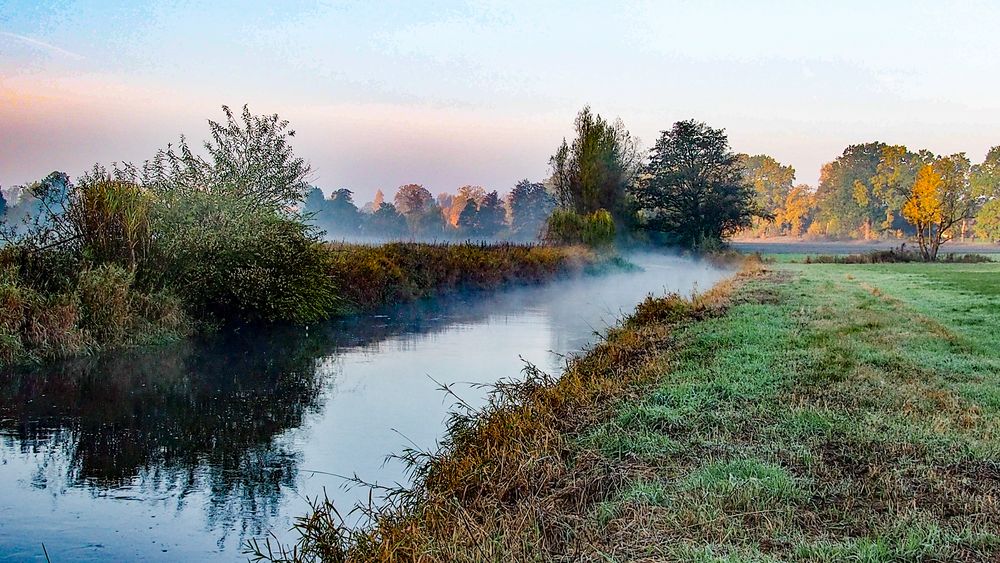 Dienstag ist Spiegeltag : Novembermorgen an der Örtze. 