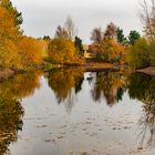 Dienstag ist Spiegeltag : Novemberstimmung am Kiesteich