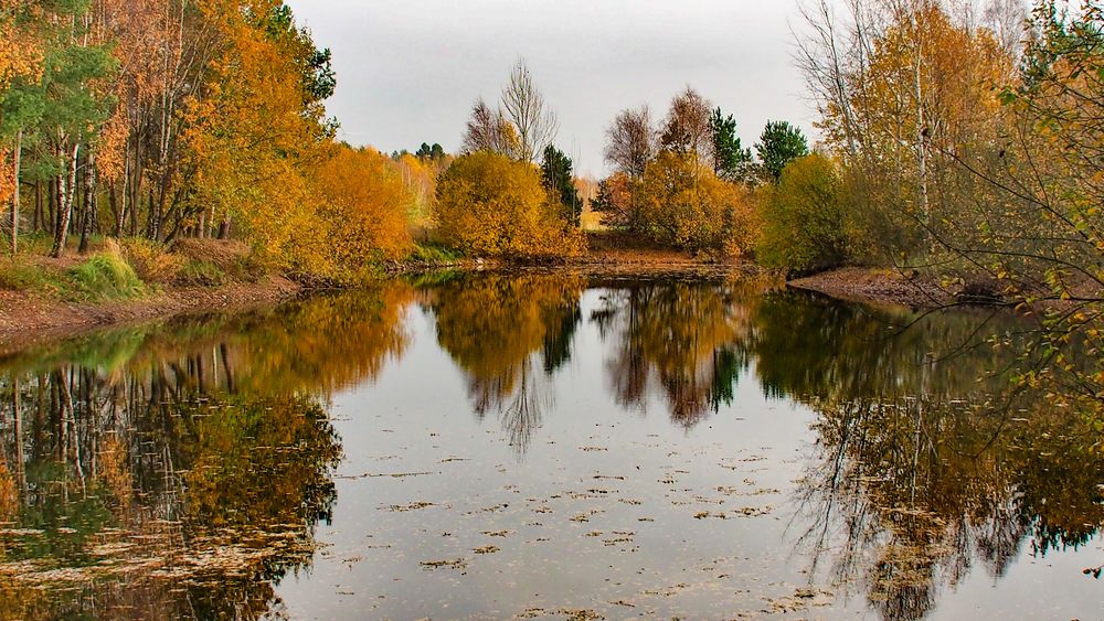 Dienstag ist Spiegeltag : Novemberstimmung am Kiesteich