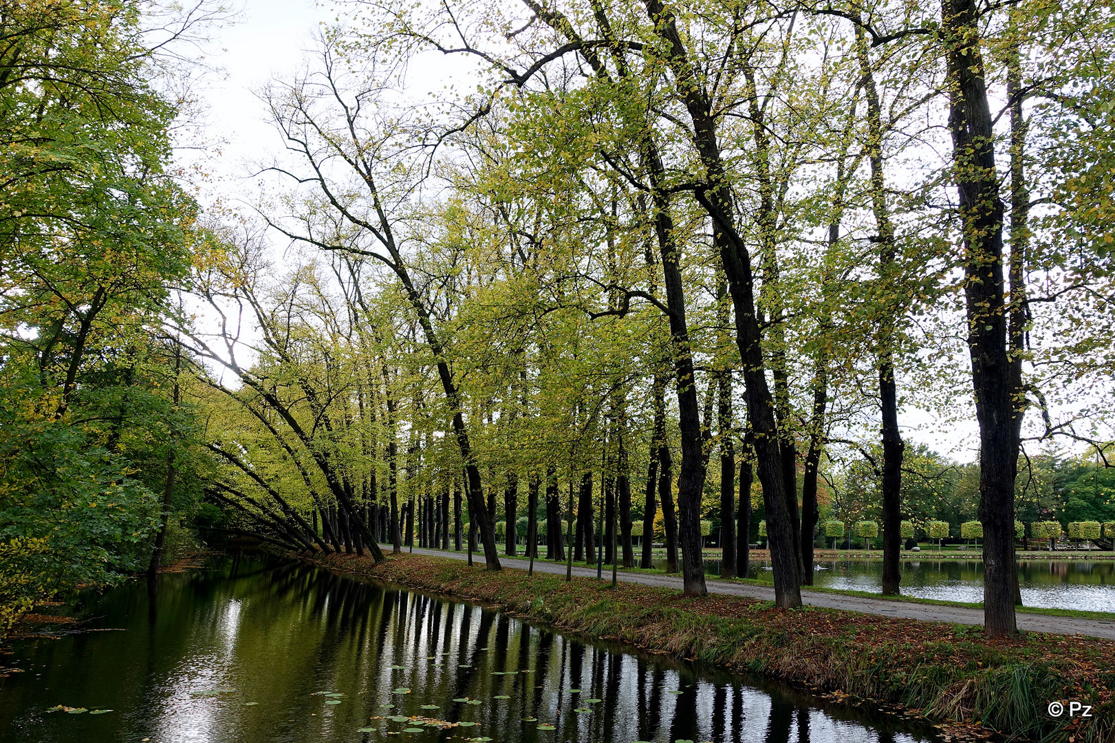 Dienstag ist Spiegeltag: Parklandschaft von Schloss Wickrath ...