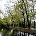 Dienstag ist Spiegeltag: Parklandschaft von Schloss Wickrath ...