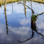 Dienstag ist Spiegeltag - Pietzmoor