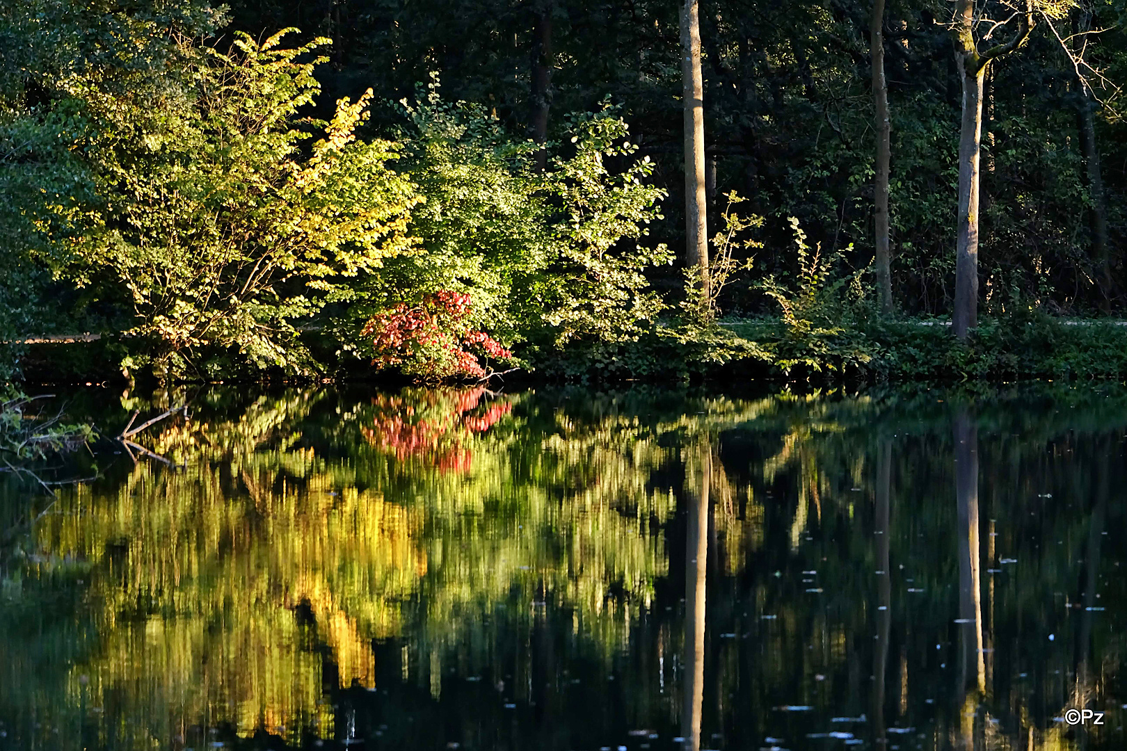 Dienstag ist Spiegeltag: Schloss-Herbst im Rheydter Schloss ...