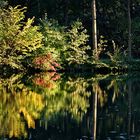 Dienstag ist Spiegeltag: Schloss-Herbst im Rheydter Schloss ...