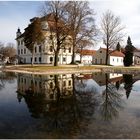  Dienstag ist Spiegeltag-Schloss Traun