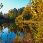 Dienstag ist Spiegeltag : Sonne am Fischteich im Oktober. 