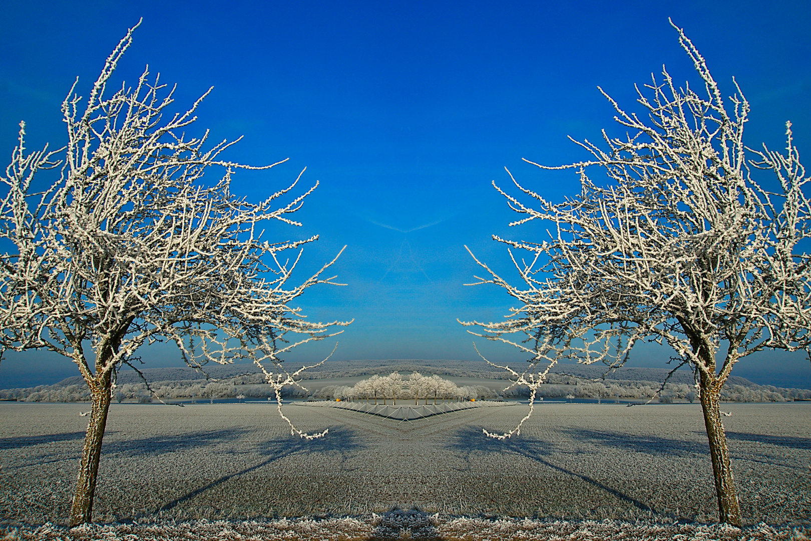 Dienstag ist Spiegeltag - Spiegelcollage einer winterlichen Landschaft