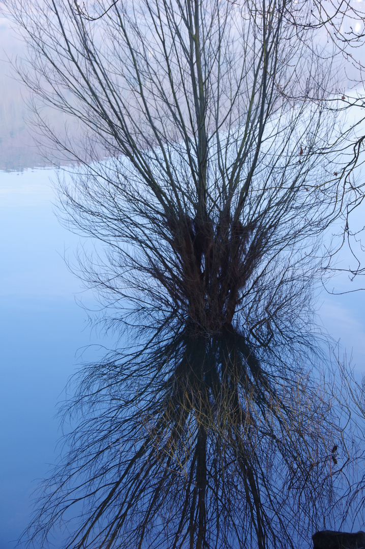 Dienstag ist Spiegeltag -was ist oben, was unten