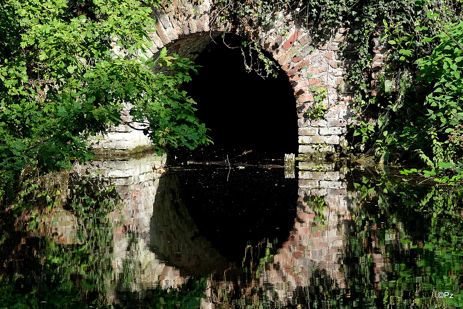 Dienstag ist Spiegeltag: Weiher-Idylle ...