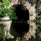 Dienstag ist Spiegeltag: Weiher-Idylle ...