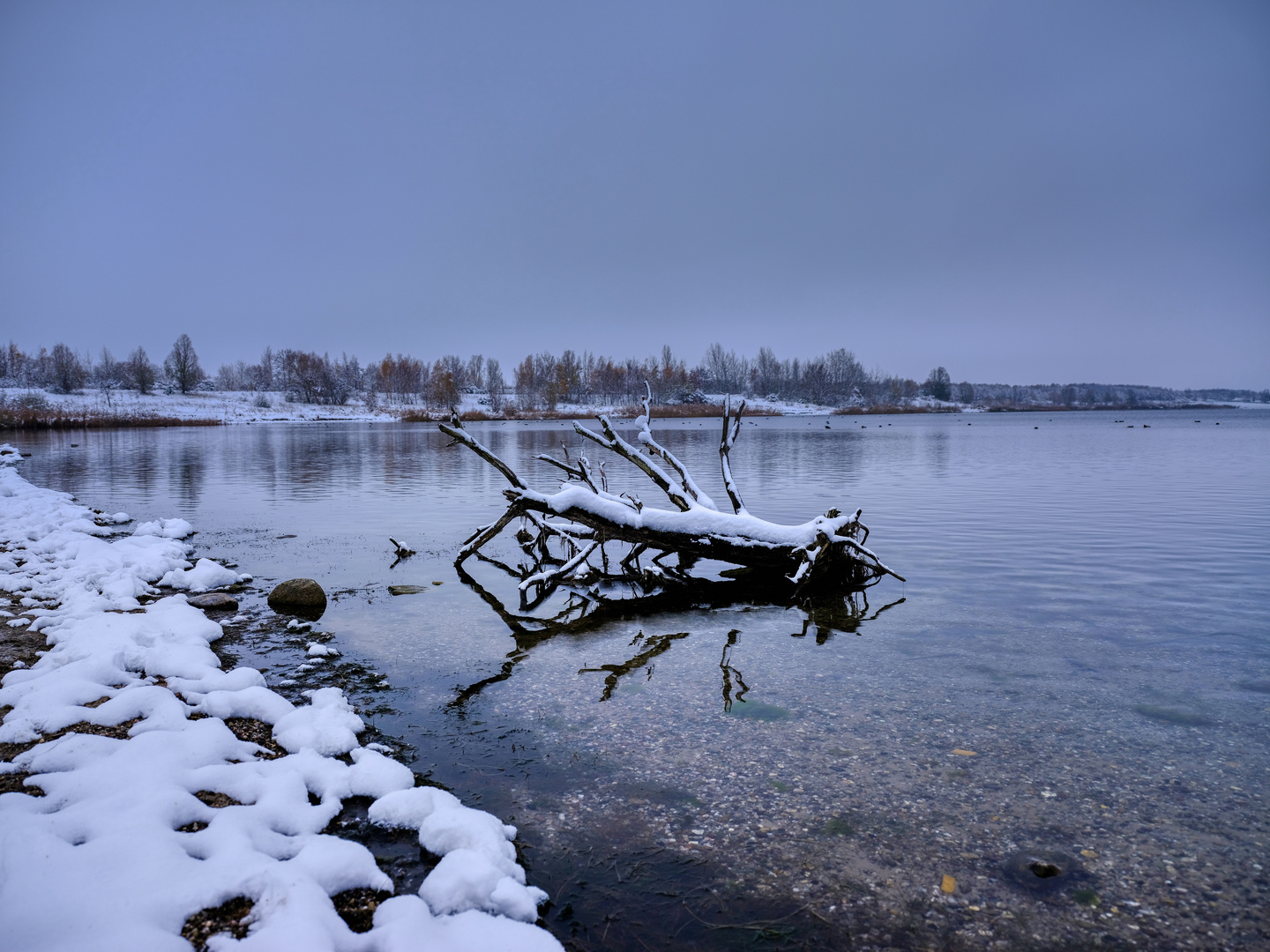 Dienstag ist Spiegeltag: Winter am See