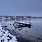 Dienstag ist Spiegeltag: Winter am See