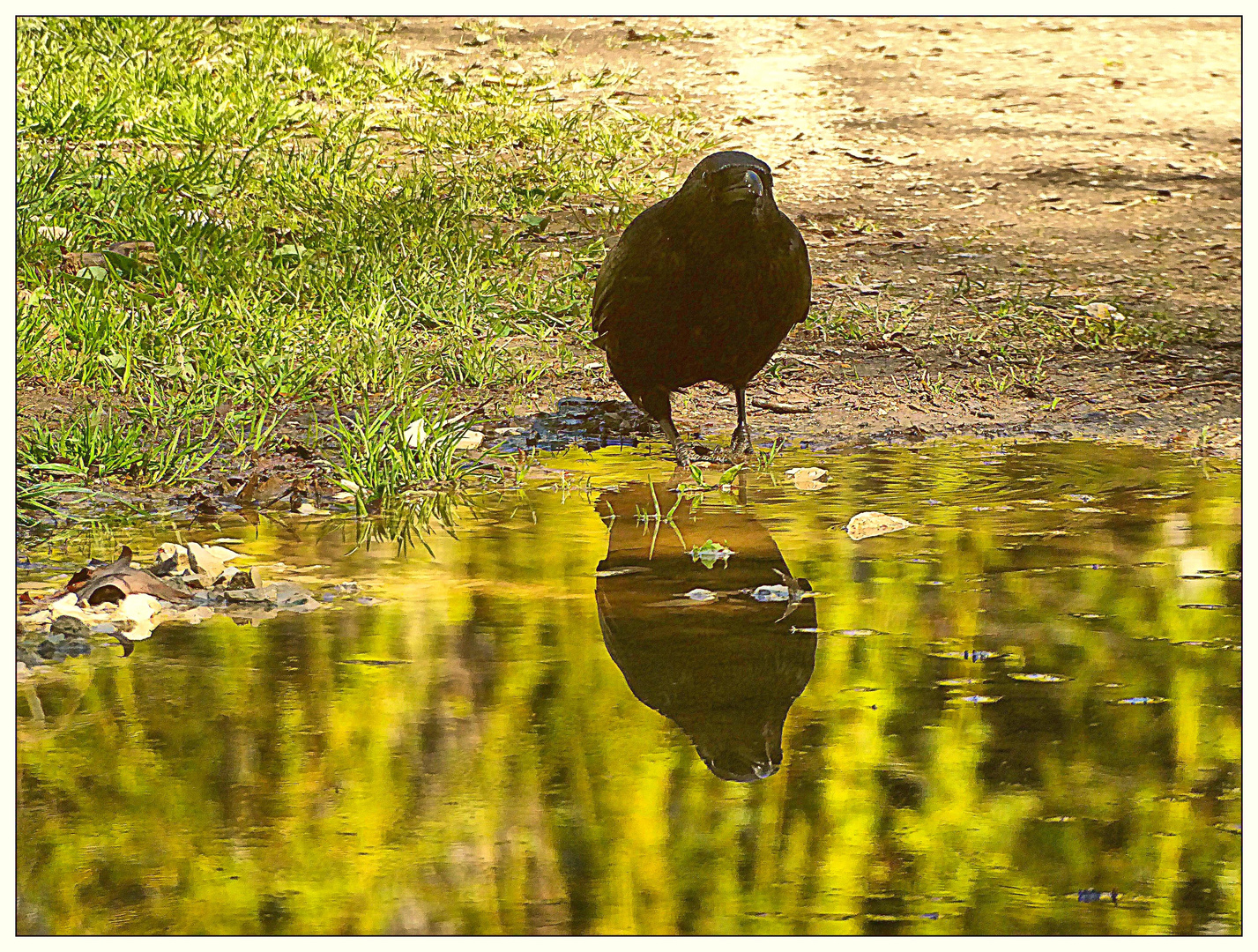 Dienstag Spiegeltag 13.07.21