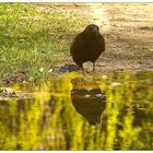 Dienstag Spiegeltag 13.07.21