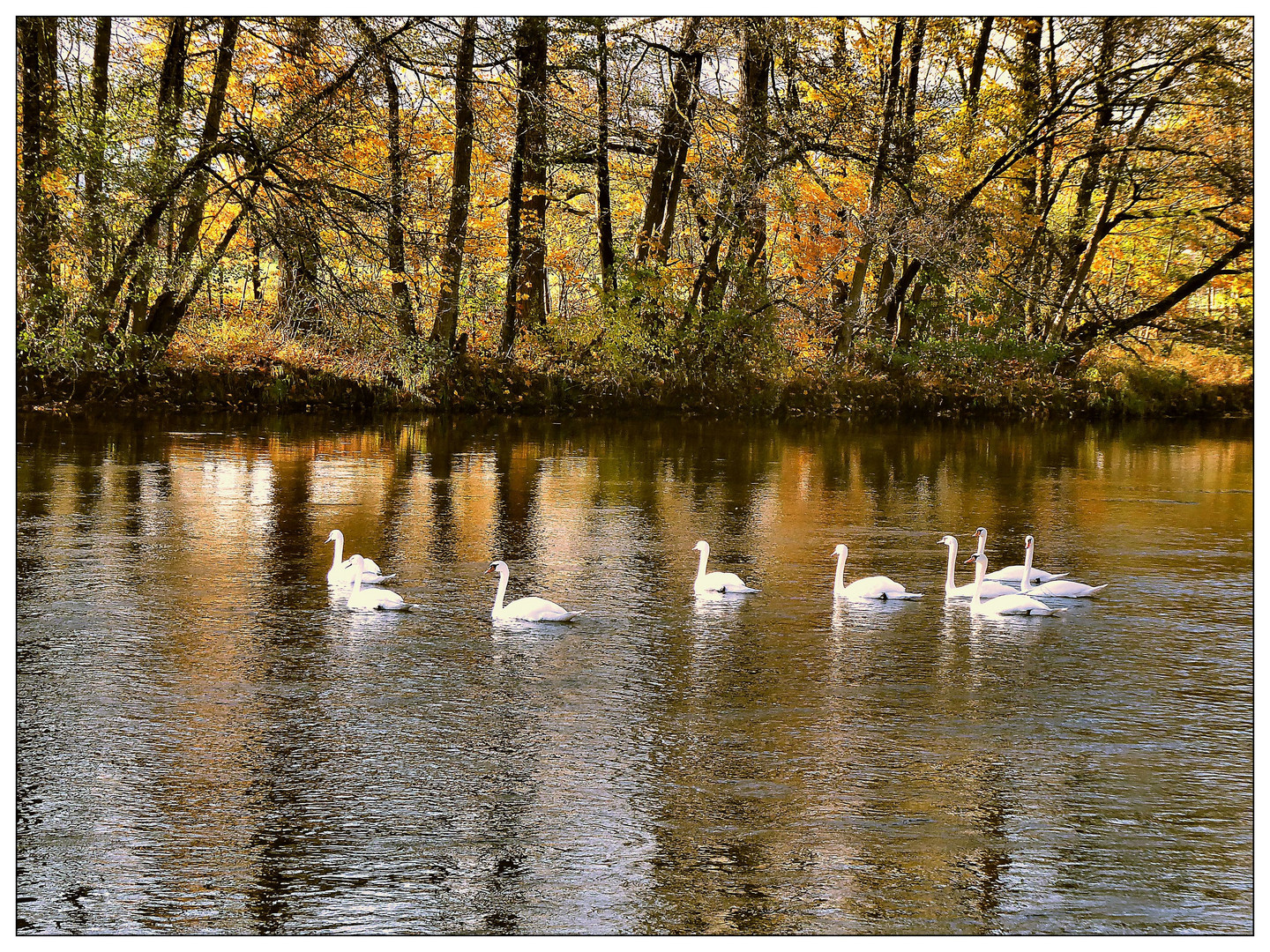 Dienstag Spiegeltag am 26.10.21