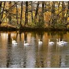 Dienstag Spiegeltag am 26.10.21