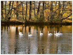 Dienstag Spiegeltag am 26.10.21