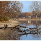 Dienstag Spiegeltag- Am Silbersee