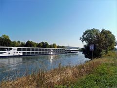 Dienstag -Spiegeltag ....Flusskreuzfahrt-schiff