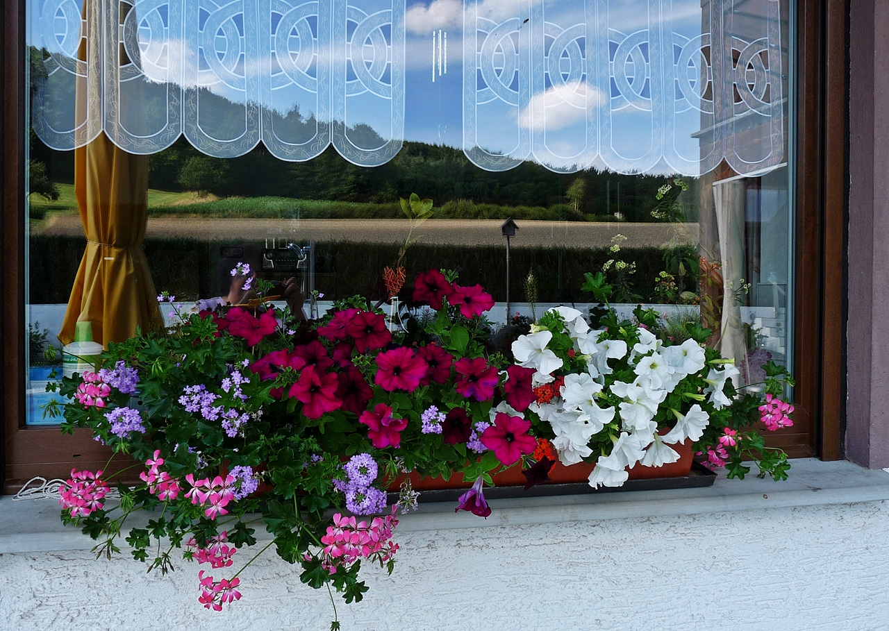 Dienstag-Spiegeltag-Küchenfenster