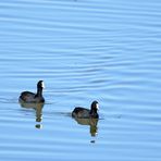 Dienstag Spiegeltag, mirrorday,  martes dia del espejo