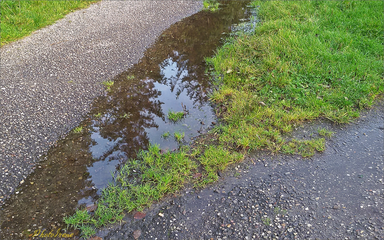 Dienstag-Spiegeltag- Pfütze