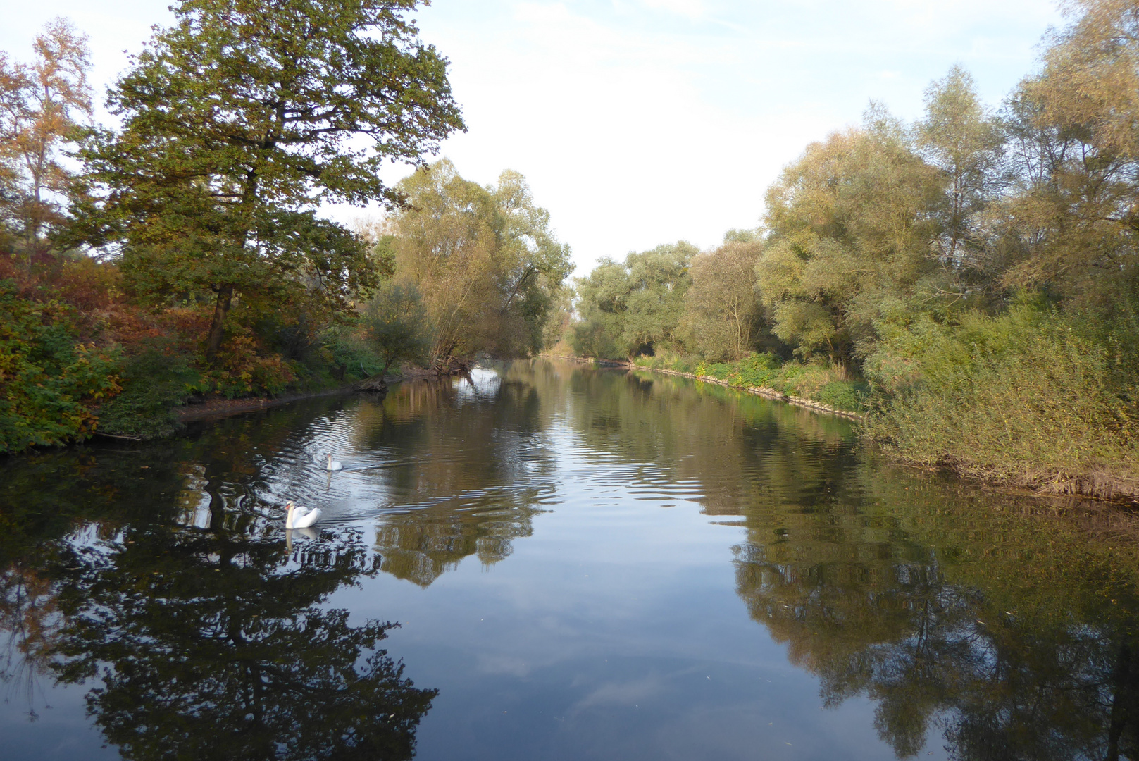 Dienstag Spiegeltag Rheinauen