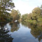 Dienstag Spiegeltag Rheinauen