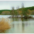 Dienstag Spiegeltag- Vogelinsel im Igelbachsee