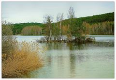 Dienstag Spiegeltag- Vogelinsel im Igelbachsee