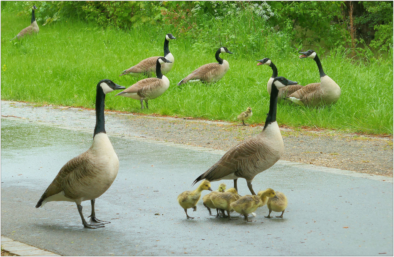 Dienstag tierisch gut 07.05.24