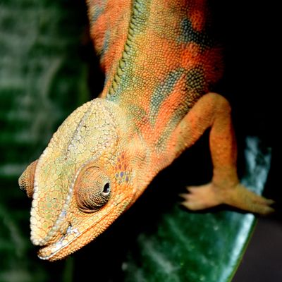 Dienstag  - tierisch gut