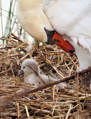 Dienstag tierisch gut…