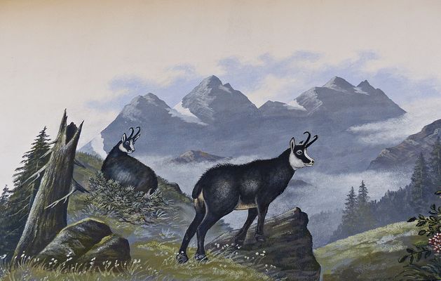 Dienstag-tierisch gut