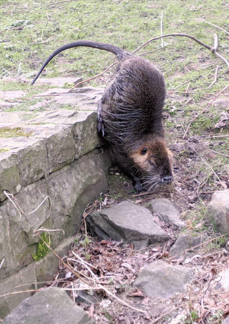 Dienstag tierisch gut …