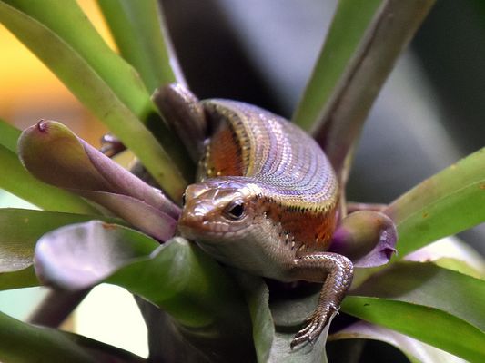 Dienstag  - tierisch gut