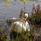 Dienstag - tierisch gut 