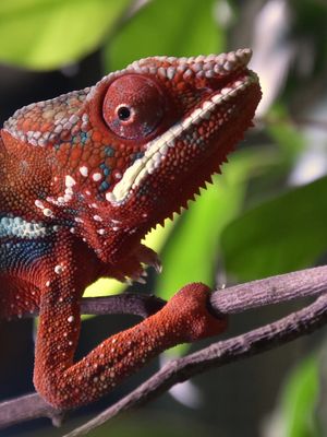 Dienstag  - tierisch gut