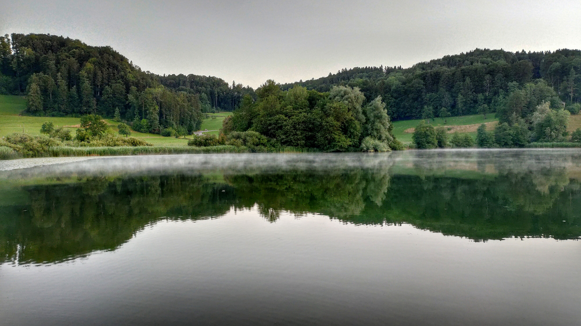Dienstagmorgen am Bichelsee