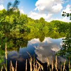 Dienstags ist Spiegeltag : Spätsommer am Fischteich